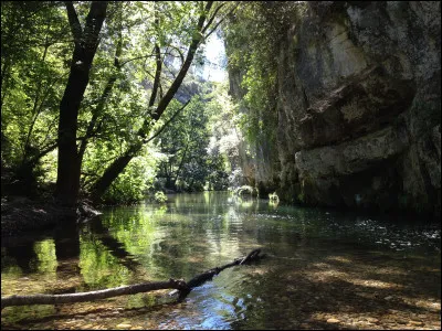 Outre une rivière du Nebraska, le loup est aussi un fleuve de France qui se jette dans la mer Méditerranée au sud-ouest de Cagnes-sur-Mer, dans quel département ?