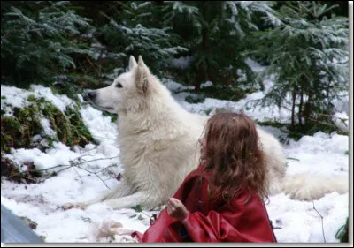 Quel est ce film de Vera Belmont, histoire qui a fait couler beaucoup d'encre ?