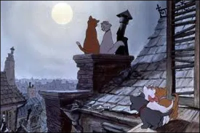 De quelles couleurs sont les chapeaux des oies Amélie et Amélia ?