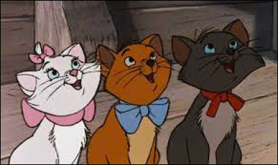 Comment s'appellent les trois chatons ?