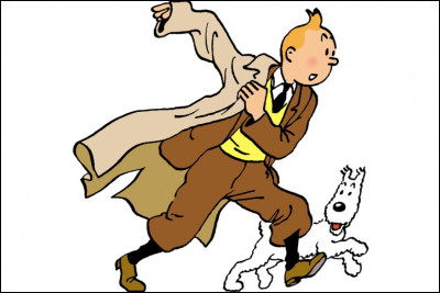 Quelle est l'activité exercée par Tintin ?