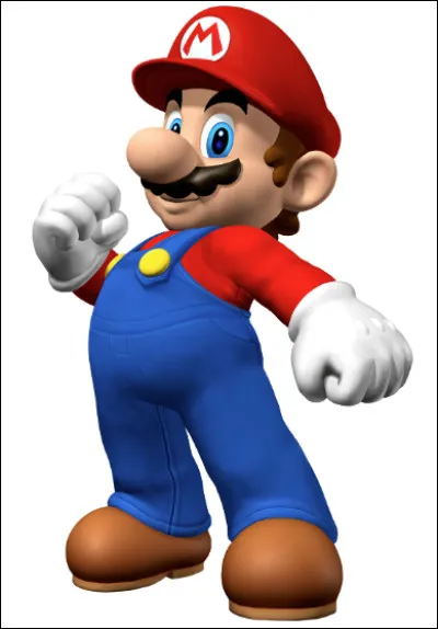 Quelle est l'activité exercée par Mario Bros ?