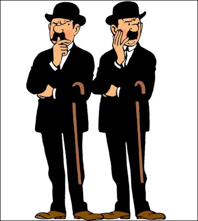 Quelle est l'activité exercée par Dupont et Dupond ?