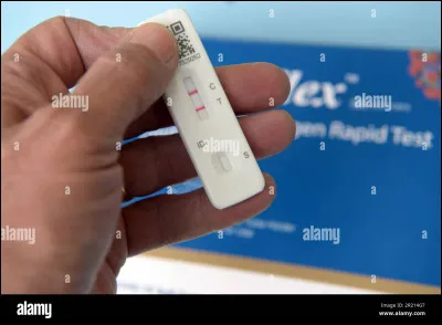 Veux-tu voir les résultats ?