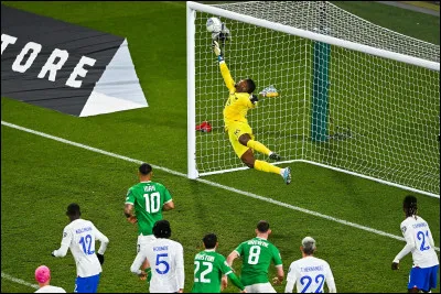Quel gardien de l'équipe de France de football remplace désormais Hugo Lloris ?