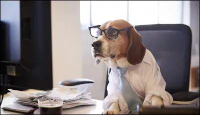 Quel métier rêves-tu de faire ?