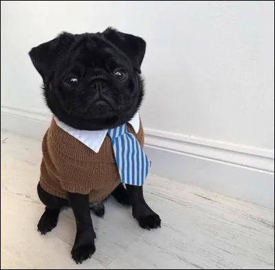 Après les cours tu...