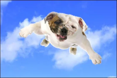 Quel serait ton super pouvoir parmi les suivants ?