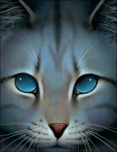 De quelle couleur sont tes yeux ?