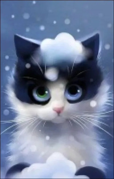 Aimerais-tu avoir des chatons ?