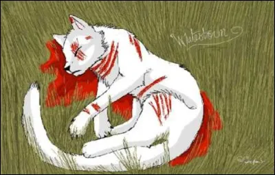 As-tu déjà tué quelqu'un ?