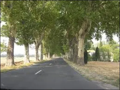 Quelle lettre faut-il remplacer pour obtenir l'indécision ?