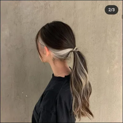 Quelle coiffure préfères-tu avoir ?