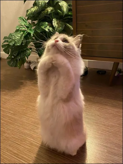 Des ennemis sen prennent à vous, tu :