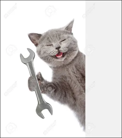 Quelquun te bouscule dans la cour de ton collège, comment agis-tu ?