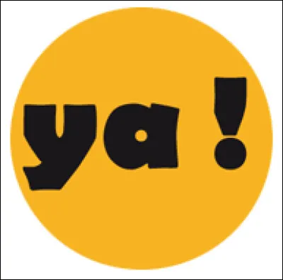 En quelle année la télévision numérique terrestre a-t-elle été lancée, en France ?