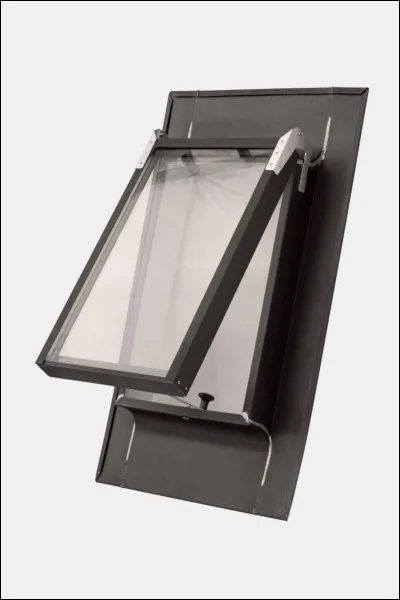 La buxidanicophilie, c'est la collection...