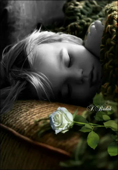 Qui chantait "Il s'endort et tu le regardes, c'est un enfant il te ressemble un peu , je viens lui chanter la ballade, la ballade des gens heureux" ?