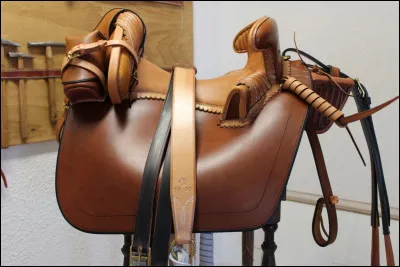Quel est le nom de cette selle ?