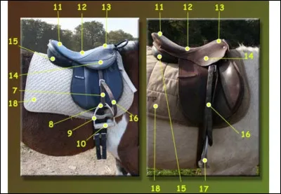 Comment s'appelle la partie de la selle de droite qui correspond au numéro 16 ?