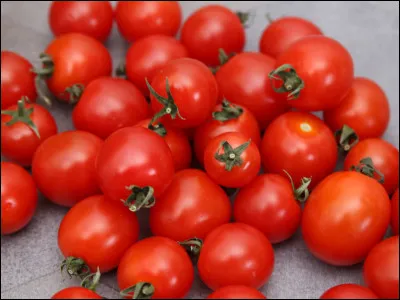 Les tomates cerises : combien existe-t-il environ de variétés de tomates cerises dans le monde ?