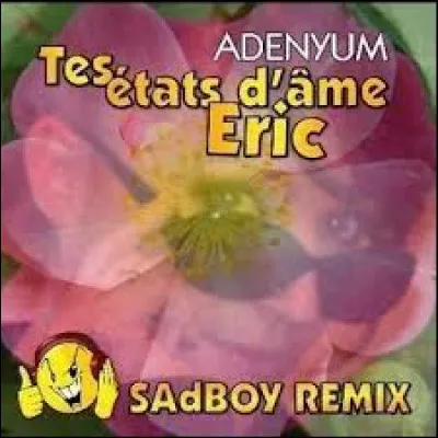 "Tes états d'âme Éric" est une chanson de :