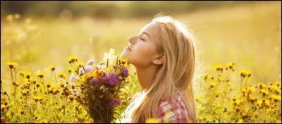 Quel groupe, à qui l'on doit le titre "Tomber la chemise", a sorti l'album "Le Bruit et l'Odeur" en 1995 ?