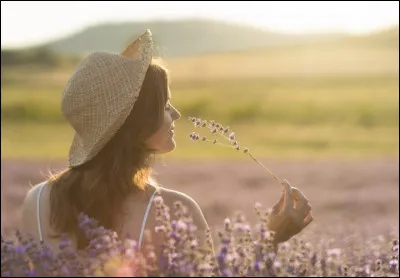 Quelle chanson appartient au répertoire d'Orelsan ?