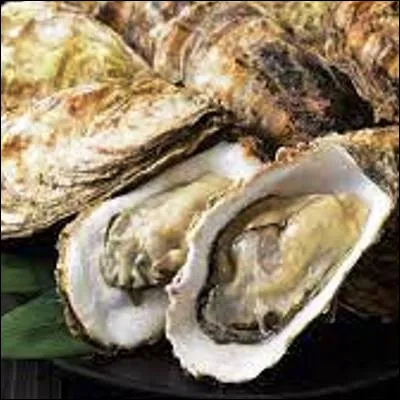 Quel mollusque marin est élevé par des vénériculteurs ?