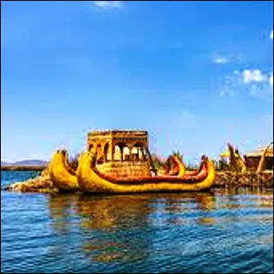 Quelle plante de sols humides est utilisée depuis des millénaires par certains peuples des Andes pour en faire des bateaux ou des maisons ?