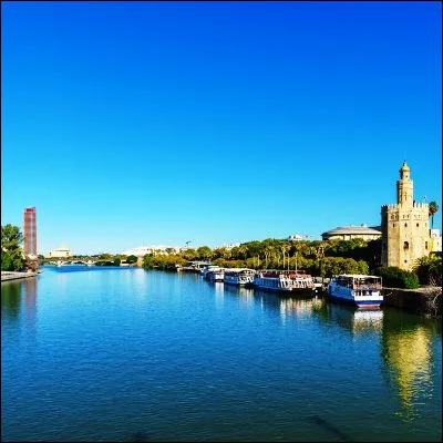 Quel fleuve, autrefois appelé Betis, arrose la ville de Séville ?