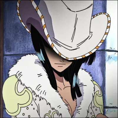 Également connue sous le nom de "Miss All Sunday". C'est une archéologue membre du Baroque Works. Elle possède les pouvoirs du Fruit du Démon lui permettant de faire pousser des bras supplémentaires sur n'importe quelle surface. Quel est son nom ?