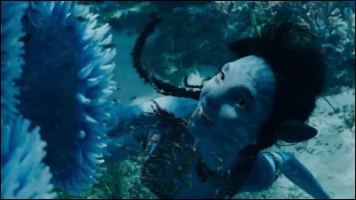 Quelle discipline sportive consiste à rester le plus longtemps sous l'eau sans respirer ?