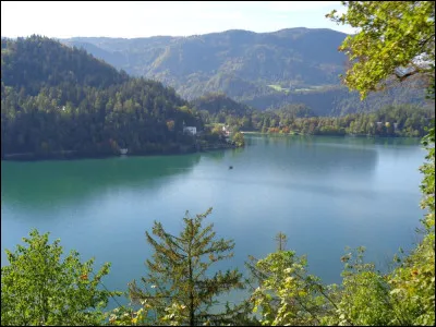 Quelle est cette région historique du centre de la Slovénie, ancien duché indépendant, qui donne son nom à une sous-espèce d'abeille très appréciée des apiculteurs, très protégée et qui est d'ailleurs l'une des rares à bien se porter actuellement en Europe ?
