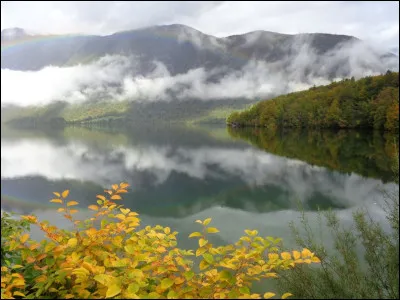 Enfin, comment parler de la Slovénie sans évoquer ses grands champions cyclistes actuels. Avant de faire carrière sur un vélo, lequel d'entre eux a pratiqué à très haut niveau le saut à ski en remportant notamment une médaille d'or lors des Championnats du monde junior par équipe en 2007 ?