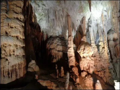 Entre la région alpine et le littoral s'étend le plateau de Kras ou Karst, caractérisé par une roche calcaire permettant l'infiltration de l'eau et la création de nombreuses grottes. On y trouve notamment la grotte la plus visitée d'Europe. Quelle est son nom ?