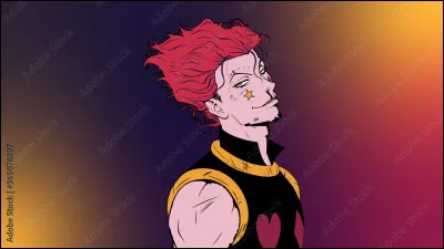 Dans quel arc Hisoka n'est-il pas apparu ?