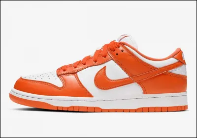 La paire de chaussures apparaissant à l'écran se nomme ''Nike Dunk''.