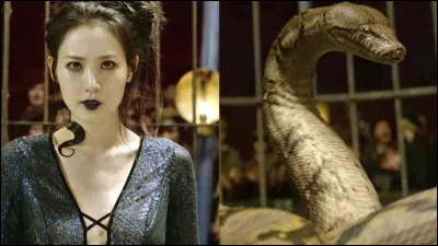 N°4 : Nagini
Dans quel film découvre-t-on son histoire ?