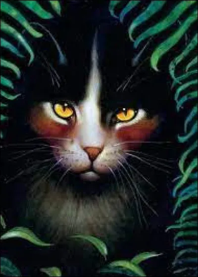 Quel type de page de couverture aurais-tu ?