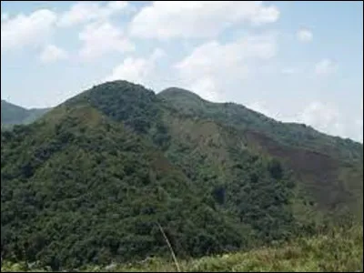 Dans quel pays d'Afrique du Centre-Ouest est situé le volcan nommé mont Manengouba qui culmine à 2 411 mètres d'altitude ?