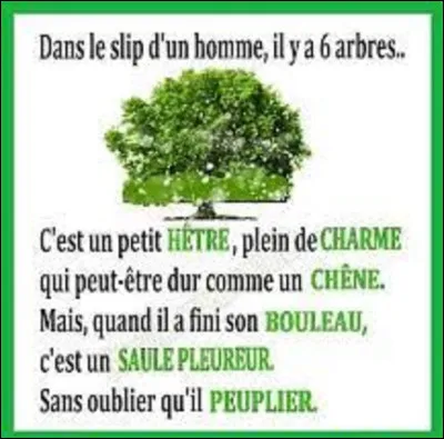 Dans le langage des arbres, que signifie le hêtre ?