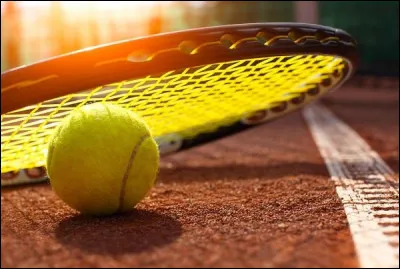 Qui a été un joueur de tennis français célèbre ?