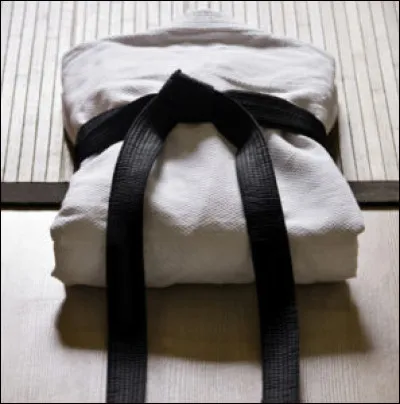 Quelle est la couleur de la ceinture qui va juste après la ceinture noire au judo ?