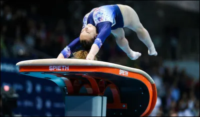 Lequel n'est pas un agrès de gymnastique ?