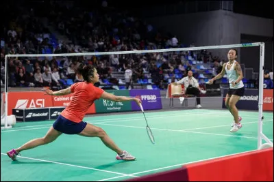 Quelle discipline n'existe pas en compétition officielle de badminton ?