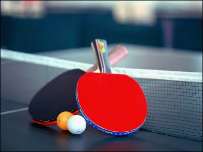 Comment nomme-t-on un joueur de tennis de table ?