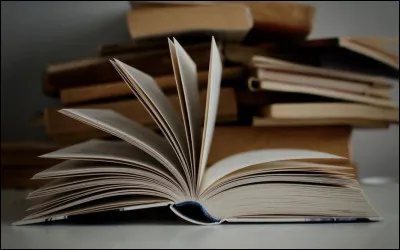 Qui est l'auteur du roman ''Les cinq personnes que j'ai rencontrées là-haut'' ?