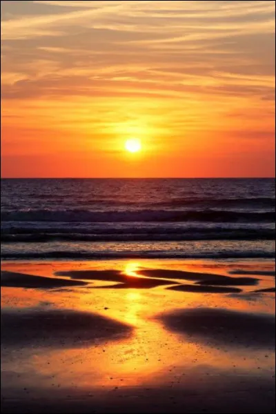 La journ&eacute;e est termin&eacute;e. Tu vas dans ta chambre, tes camarades de chambre te disent leur pr&eacute;nom, l�Aile de Pluie s�appelle Hibiscus et l�Aile de Boue s�appelle Mandala. Elles te proposent de d&eacute;corer la chambre avec des dessins. Que r&eacute;ponds-tu ?