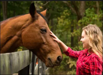 Comment aborder un cheval ?